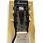 Vintage 1960s Harmony H7 ROY SMECK LAP STEEL TUXEDO Lap Steel
