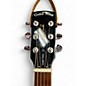Used Gold Tone PAUL BEARD SIGNATURE ROUND NECK RESONATOR 2 Color Sunburst Resonator Guitar