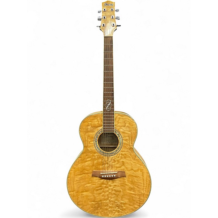 IBANEZ EW SERIES acoustic guitars for sale in USA | guitar-list