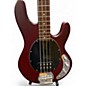 Used Sterling by Music Man STINGRAY Walnut Electric Bass Guitar