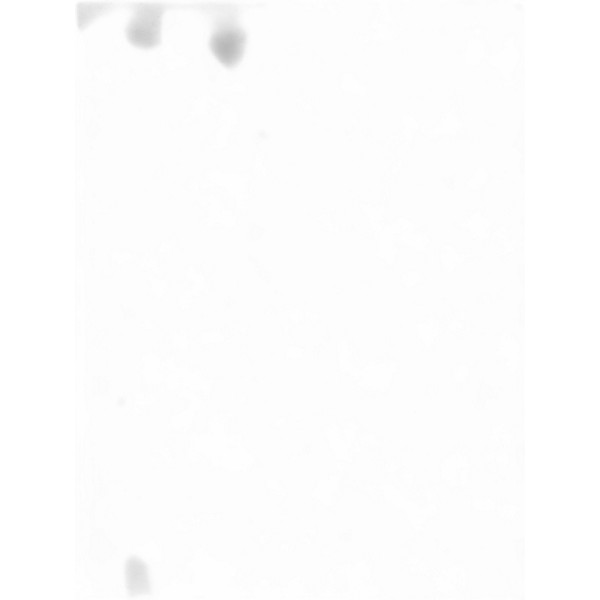 Used Harbinger VS18 Powered Subwoofer