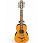 Used Blueberry Butterfly Natural Acoustic Guitar thumbnail