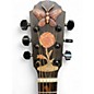 Used Blueberry Butterfly Natural Acoustic Guitar