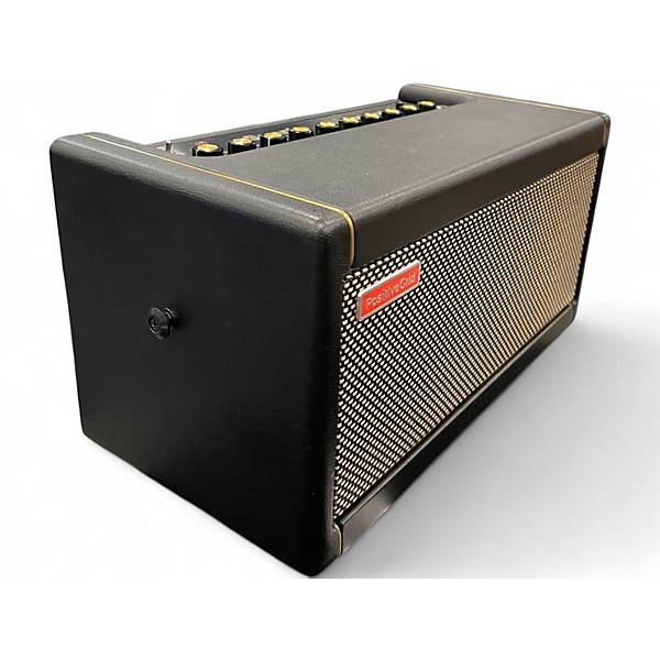 Used Positive Grid Spark 40 Battery Powered Amp
