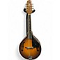 Used Kentucky KM180S 2 Color Sunburst Mandolin