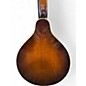 Used Kentucky KM180S 2 Color Sunburst Mandolin