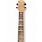 Used Luna HIGHT TIDE EXOTIC MAHOGANY Ukulele