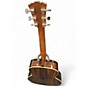 Used Taylor Gold Label 714E 2 Color Sunburst Acoustic Electric Guitar