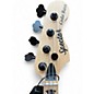 Used Spector CODA 4 DLX MAPLE BURL Electric Bass Guitar