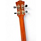 Used Luna Vista Eagle Tropical Wood Concert Natural Ukulele