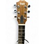 Used Taylor GS Mini Mahogany Mahogany Acoustic Guitar