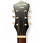 Used Recording King rps-9-bsn 2 Color Sunburst Acoustic Guitar