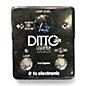 Used TC Electronic Ditto Jam X2 Looper Pedal thumbnail