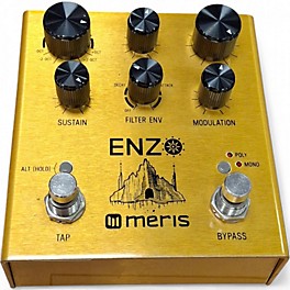 Used 2021 Meris enzo Effect Pedal
