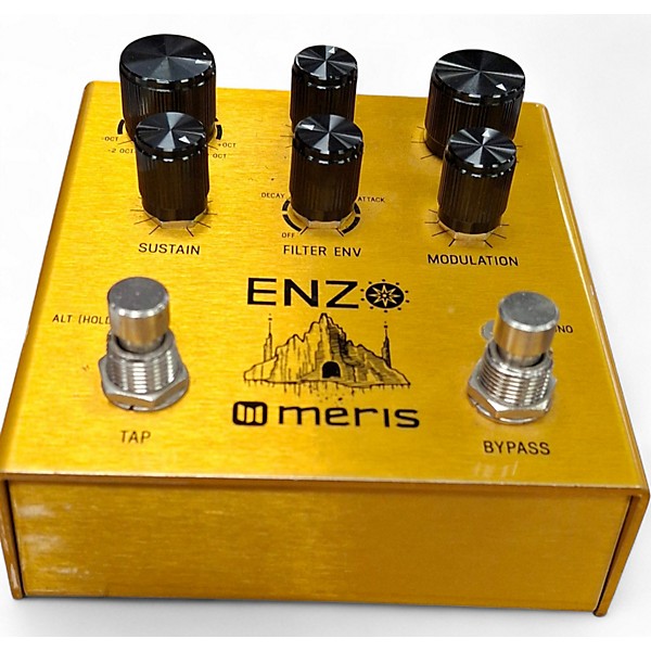 Used 2021 Meris enzo Effect Pedal