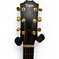Used Taylor 217E 50TH ANNIVERSARY Tobacco Sunburst Acoustic Electric Guitar