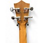 Used Amahi c660 Koa Ukulele