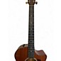 Used Taylor 514CE-LTD Brown Acoustic Electric Guitar
