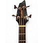 Used Breedlove Pursuit 4 String SUNSET BURST Acoustic Bass Guitar