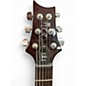 Used PRS SE DGT Birds Tobacco Sunburst Solid Body Electric Guitar