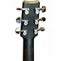 Used Rain Song S-OM1000N2 CARBON FIBER Acoustic Electric Guitar