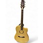 Used LR Baggs AEG-1 Natural Acoustic Electric Guitar