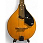 Used Palmer P-3N Natural Mandolin
