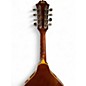Used Palmer P-3N Natural Mandolin