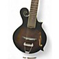 Used Gold Tone F-6 Antique Burst Mandolin