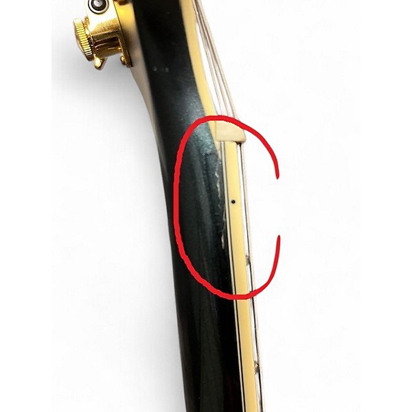 Used D'Angelico DLX-175 Charcoal Green Hollow Body Electric Guitar