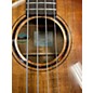 Used Breedlove BASS Amber Acoustic Bass Guitar