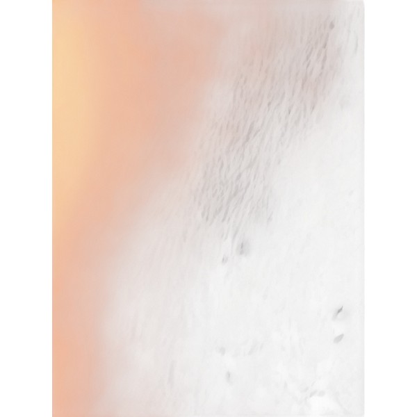 Used KORG Pitchblack X Tuner Pedal