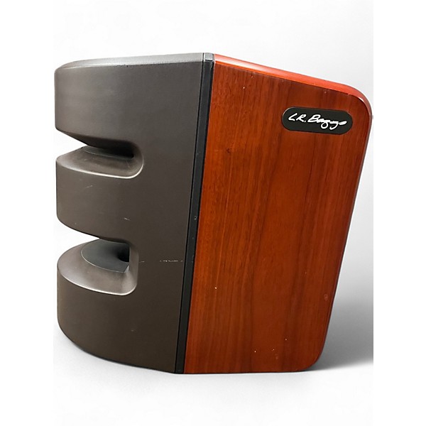 Used LR Baggs Synapse Acoustic Guitar Combo Amp