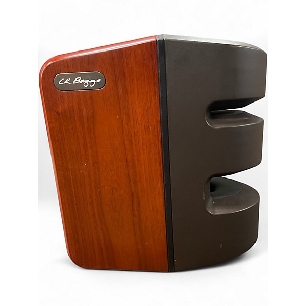 Used LR Baggs Synapse Acoustic Guitar Combo Amp