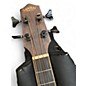 Used Lanikai FB EBU Mahogany Acoustic Bass Guitar