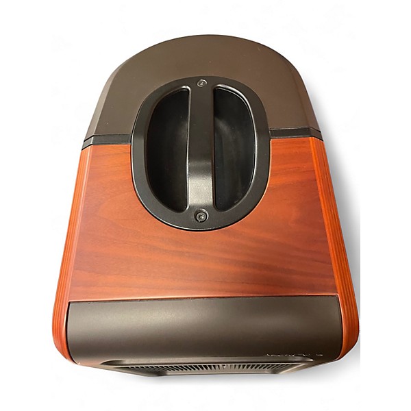 Used L.r. Baggs SYNAPSE 500W ACOUSTIC AMPLIFIER Guitar Combo Amp