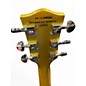 Used Fire Fly JSN Gold Solid Body Electric Guitar