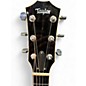 Used Taylor 814CE Maple Acoustic Electric Guitar