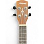 Used Alvarez GDU26C DARKSTAR DARKSTAR Ukulele