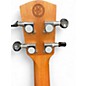 Used Alvarez GDU26C DARKSTAR DARKSTAR Ukulele