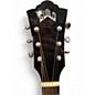 Used Guild OM-260CE BW BLACKWOOD Acoustic Electric Guitar