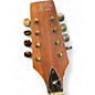 Used Morgan Monroe MAM-200 Mahogany Mandolin