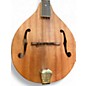 Used Morgan Monroe MAM-200 Mahogany Mandolin
