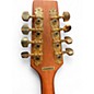 Used Morgan Monroe MAM-200 Mahogany Mandolin