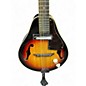 Used Eldegas Mando 3 Color Sunburst Mandolin
