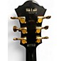 Used Ibanez PM100 Pat Metheny Signature Black Hollow Body Electric Guitar