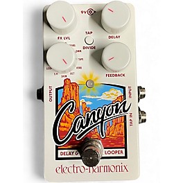 Used Electro-Harmonix Canyon Delay and Looper Effect Pedal