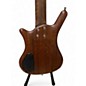 Used Warwick Thumb 5 String Bolt-On Walnut Electric Bass Guitar