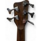 Used Warwick Thumb 5 String Bolt-On Walnut Electric Bass Guitar