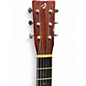 Used Breedlove D/SRE-H American Series Dreadnought Natural Acoustic Electric Guitar